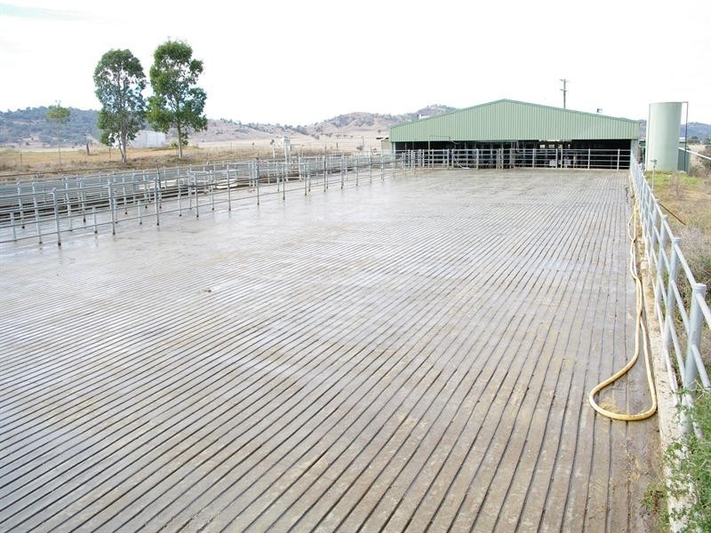 1 Holdings” Buena Vista Road, Upper Manilla NSW 2346