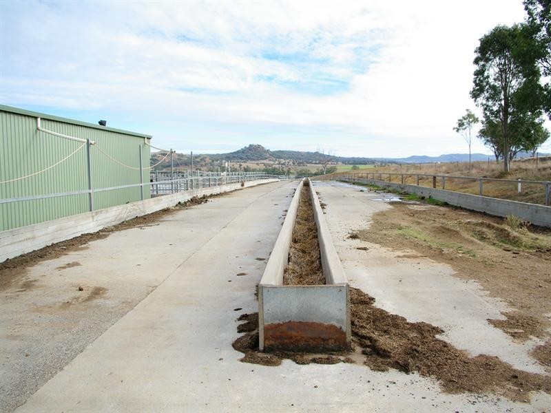 1 Holdings” Buena Vista Road, Upper Manilla NSW 2346