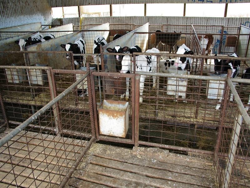 1 Holdings” Buena Vista Road, Upper Manilla NSW 2346