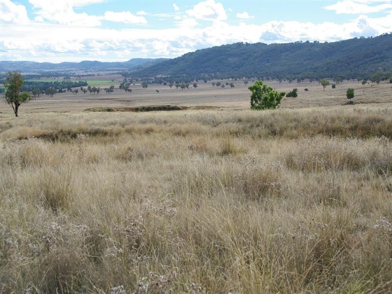 1 Holdings” Buena Vista Road, Upper Manilla NSW 2346