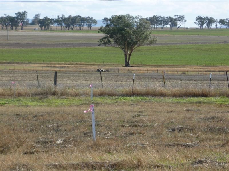 3 Lights Residential Estate, Westdale NSW 2340