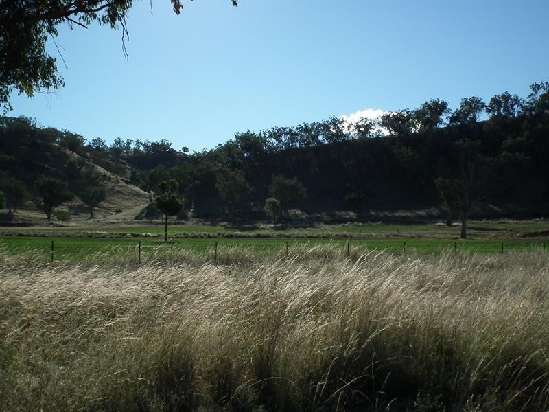 397 Crow Mountain Road, Manilla NSW 2346