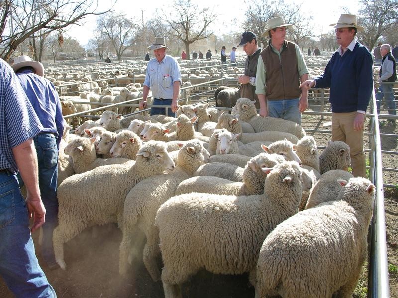 666 Middlebrook Road, Tamworth NSW 2340