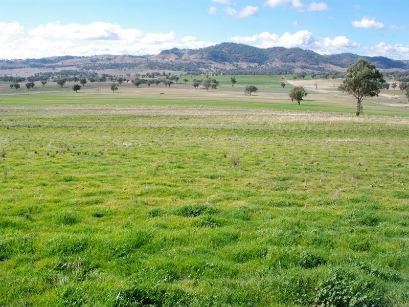 666 Middlebrook Road, Tamworth NSW 2340