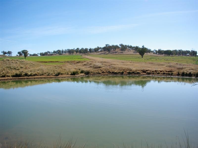 267 Bennetts Road, Attunga NSW 2345