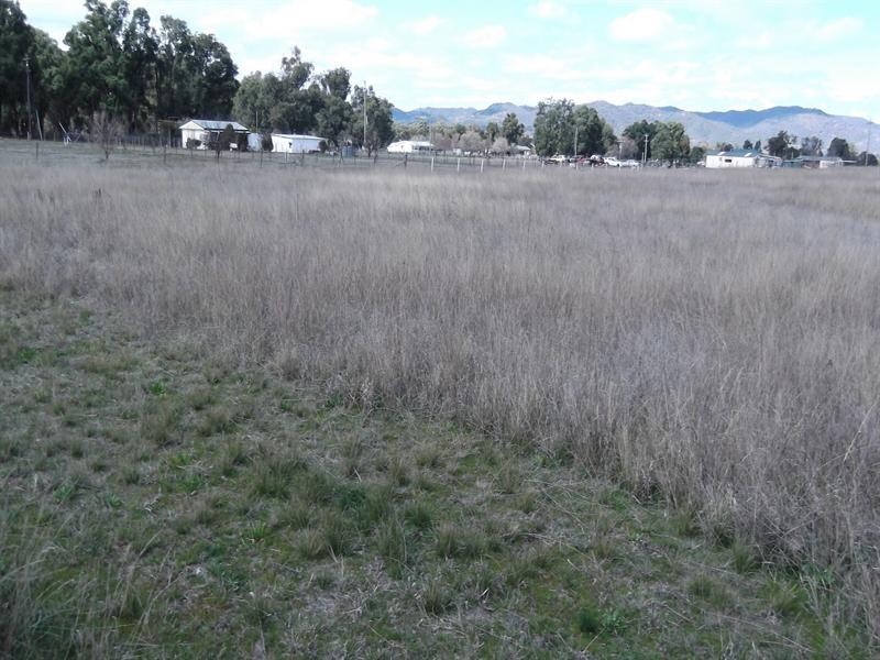 24 William Street, Moonbi NSW 2353