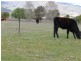 1798 New England Highway, Kootingal NSW 2352