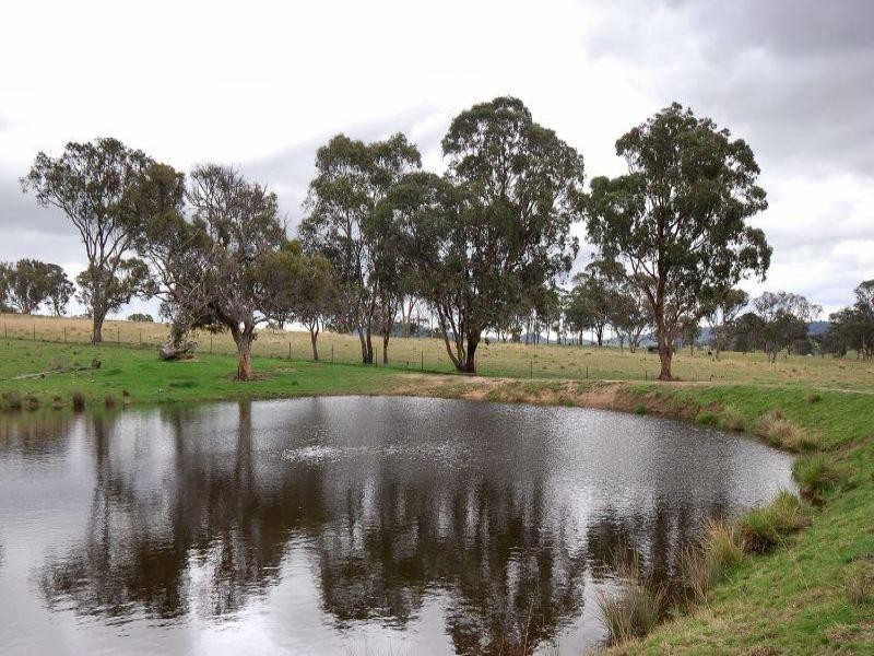 4454 Oxley Highway, Bendemeer NSW 2355