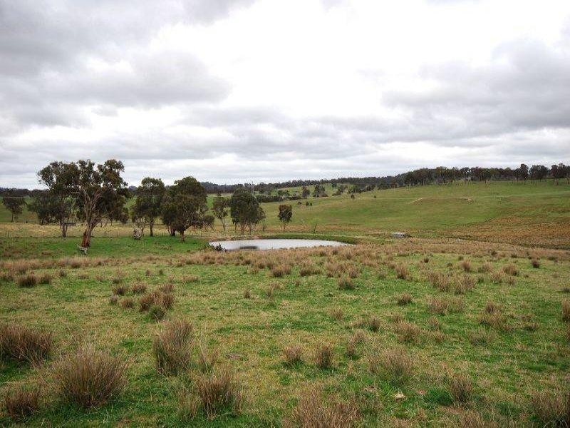 4454 Oxley Highway, Bendemeer NSW 2355