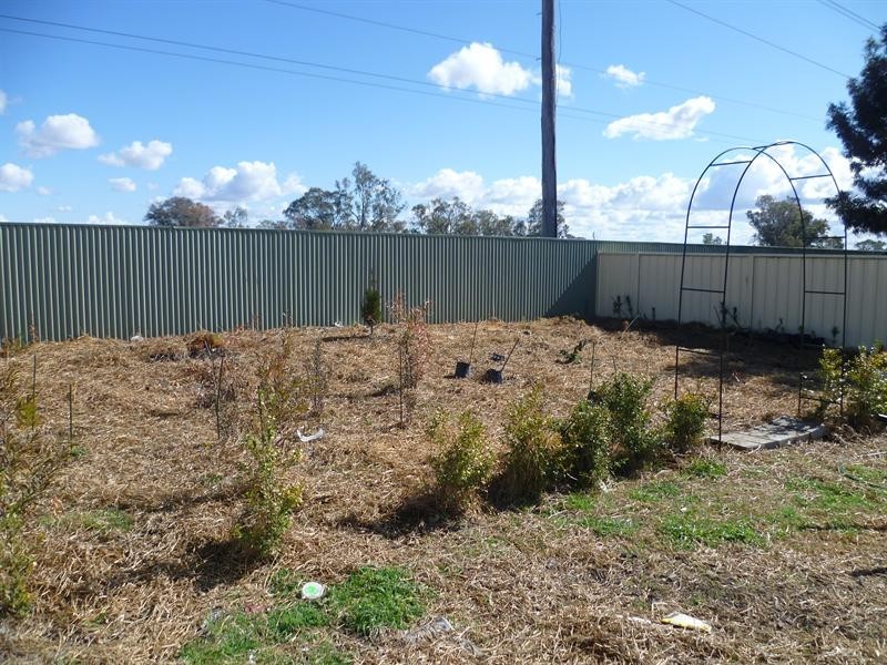 26 Sue Crescent, Tamworth NSW 2340