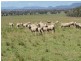 4418 Werris Creek Road, Duri NSW 2344