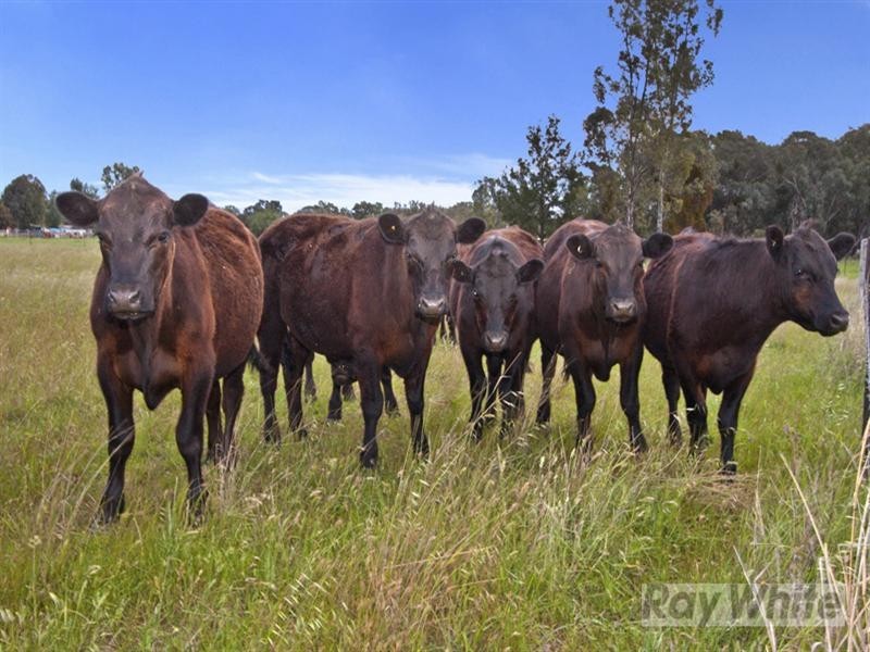 633 Moore Creek Road, Tamworth NSW 2340