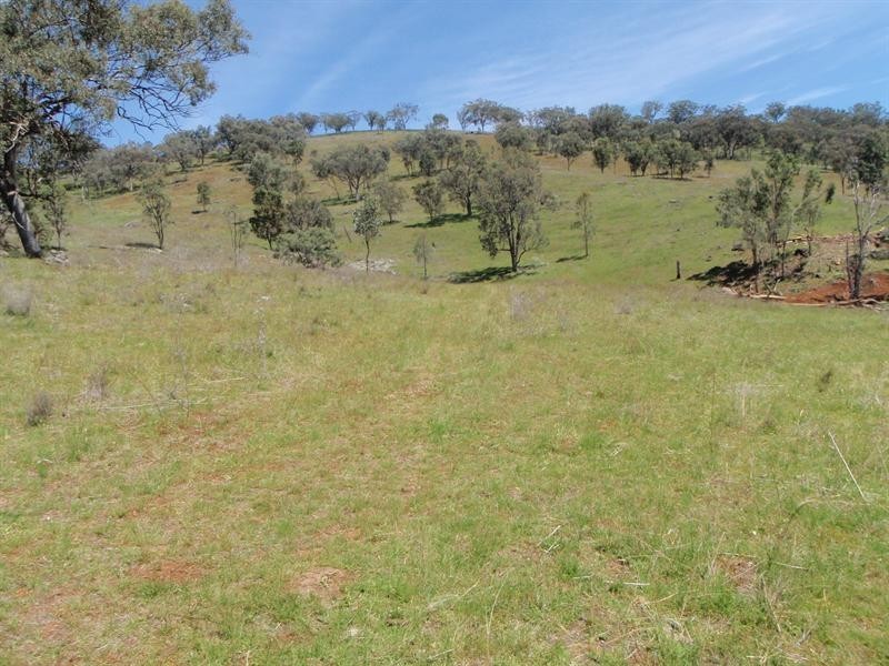 1038 Trevallyn Road, Barraba NSW 2347