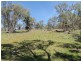 1038 Trevallyn Road, Barraba NSW 2347