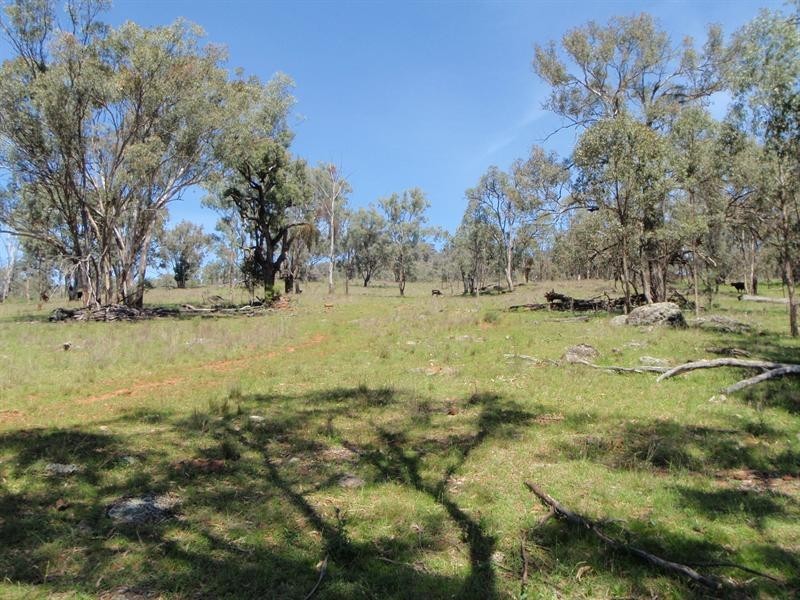 1038 Trevallyn Road, Barraba NSW 2347