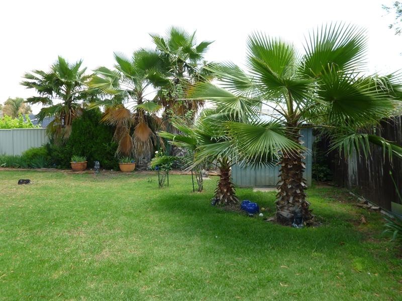 46 John Street, Tamworth NSW 2340