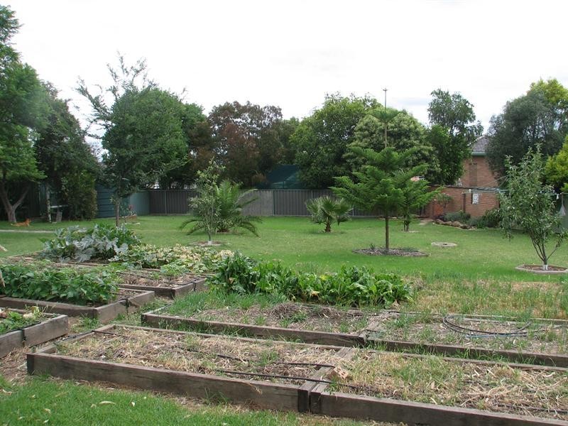 19 Minnamurra Crescent, Tamworth NSW 2340