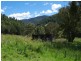 962 Dungowan Dam Road, Ogunbil NSW 2340