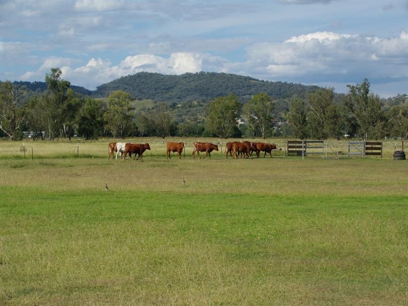 24 Harrier Parade, Calala NSW 2340