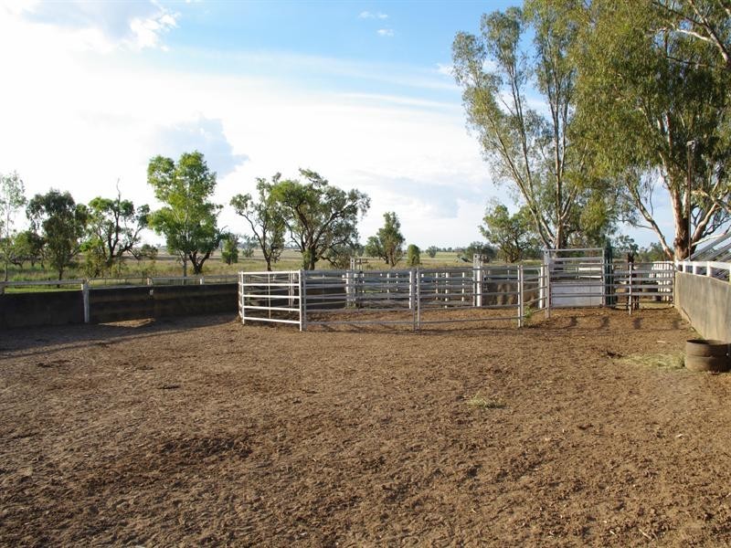 248 Bithramere Lane, Tamworth NSW 2340