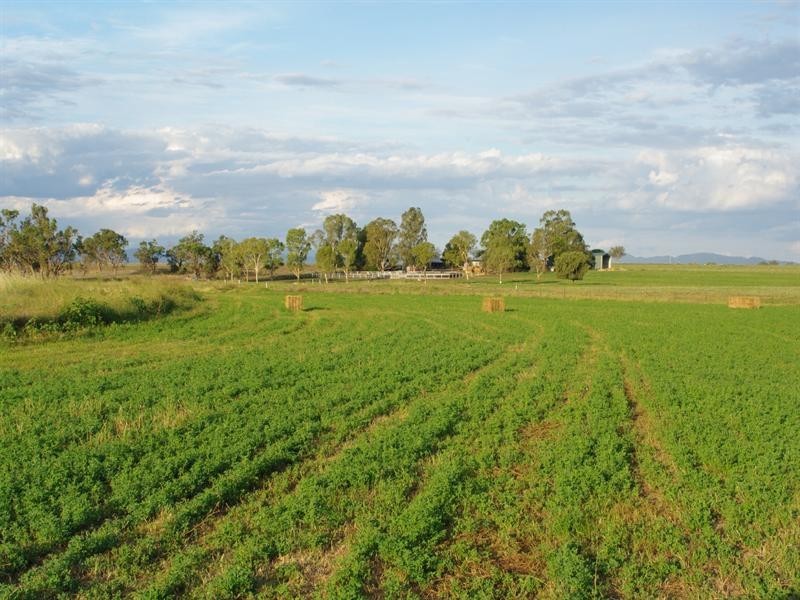 248 Bithramere Lane, Tamworth NSW 2340