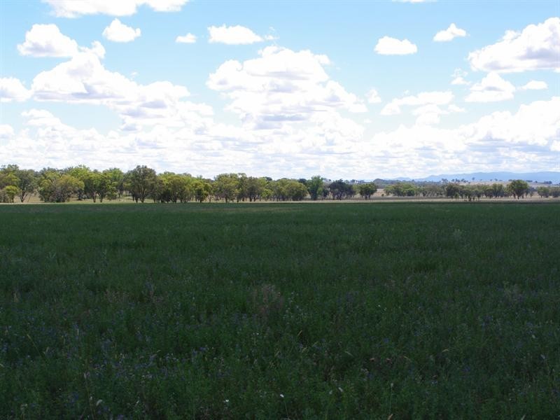 2052 Gowrie Road, Tamworth NSW 2340