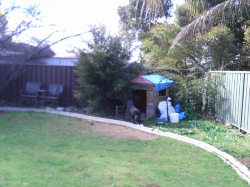 58 Mitchell Street, Westdale NSW 2340