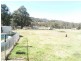14 Duncan Street, Woolomin NSW 2340