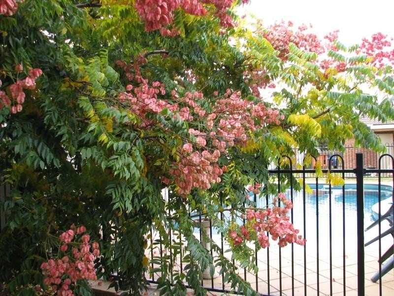 51 Morilla Street, Tamworth NSW 2340