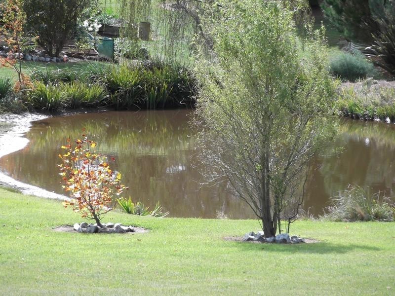 751 Barry Road, Hanging Rock NSW 2340