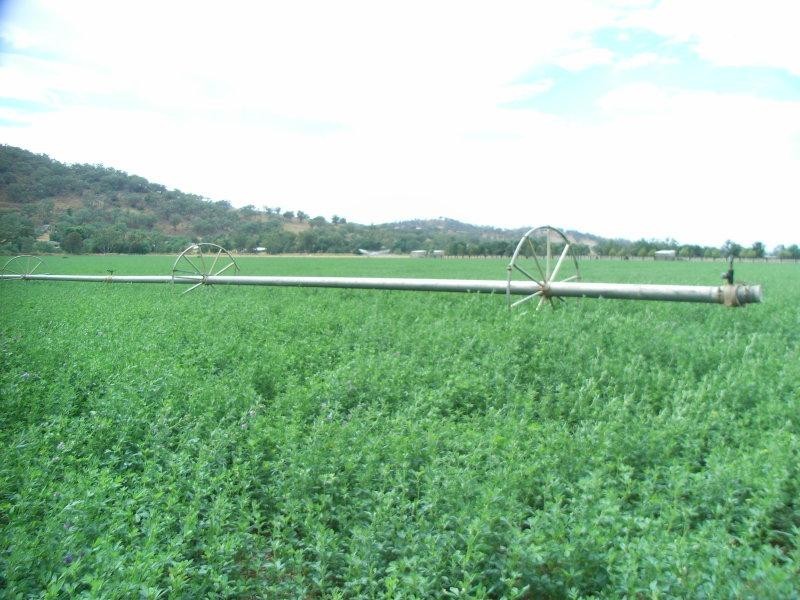 10 King George Avenue, Tamworth NSW 2340