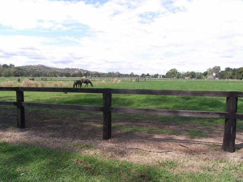 10 King George Avenue, Tamworth NSW 2340