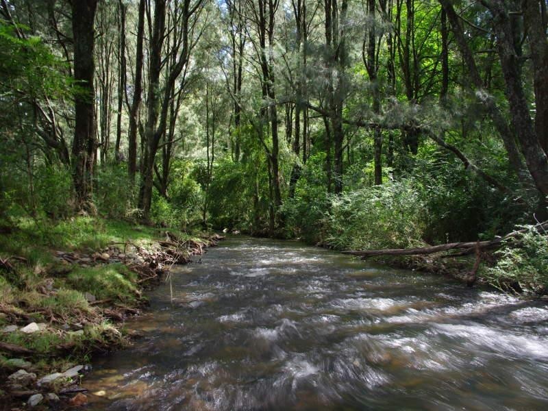 962 Dungowan Dam Road, Ogunbil NSW 2340