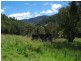 962 Dungowan Dam Road, Ogunbil NSW 2340