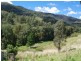 962 Dungowan Dam Road, Ogunbil NSW 2340