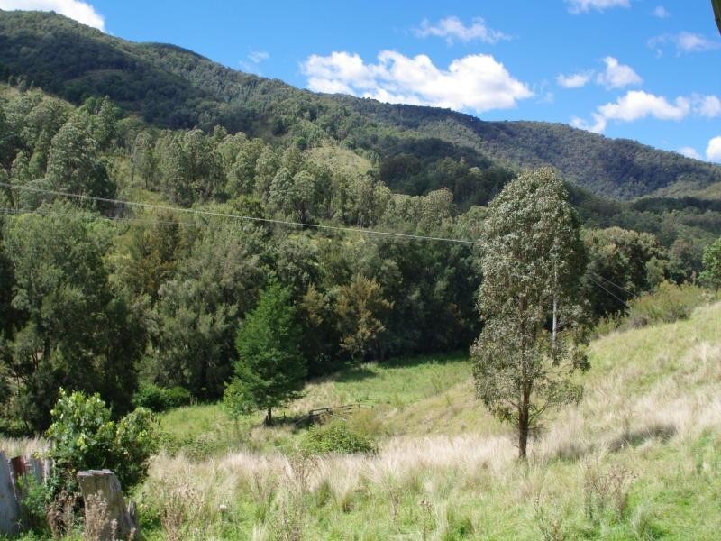 962 Dungowan Dam Road, Ogunbil NSW 2340