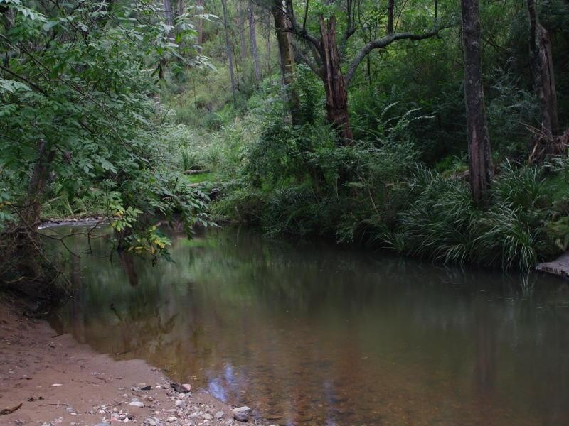 962 Dungowan Dam Road, Ogunbil NSW 2340