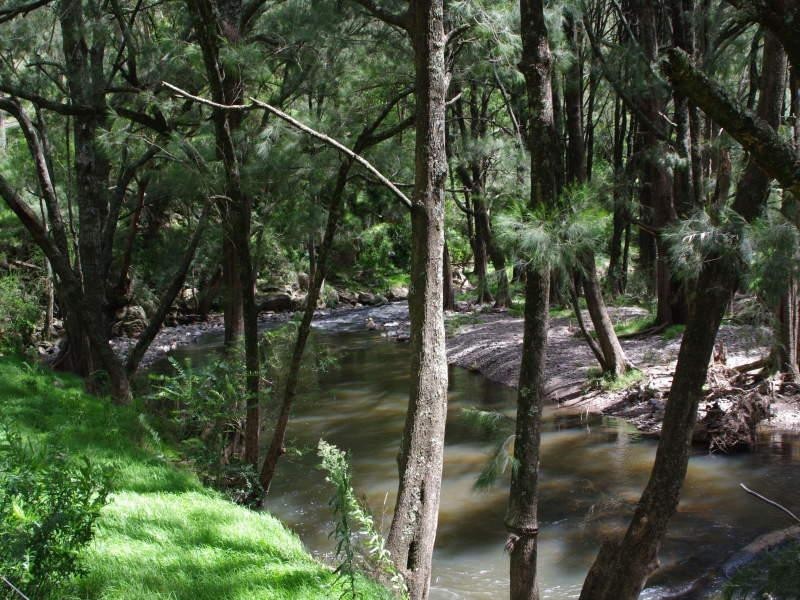 962 Dungowan Dam Road, Ogunbil NSW 2340