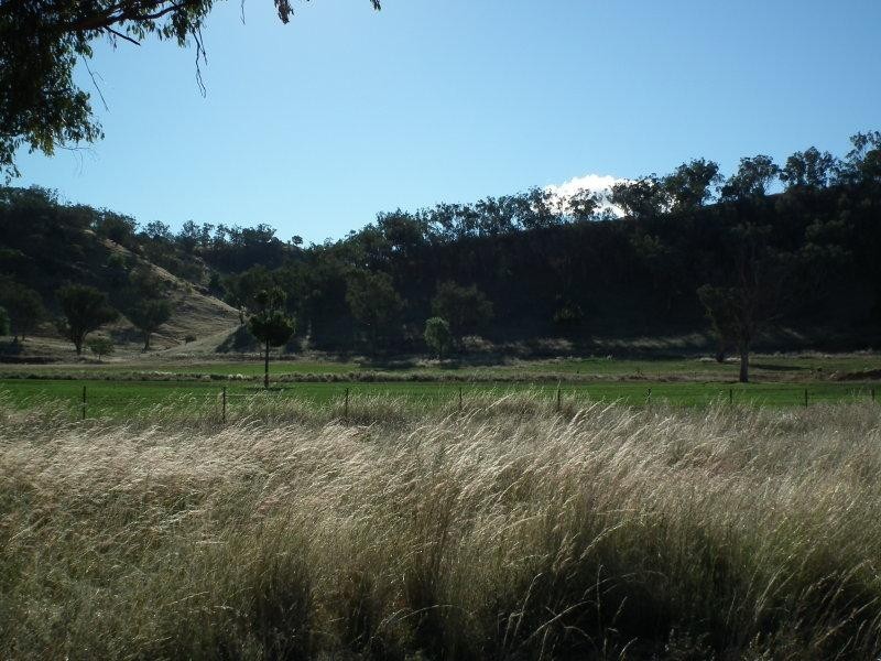 397 Crow Mountain Road, Manilla NSW 2346