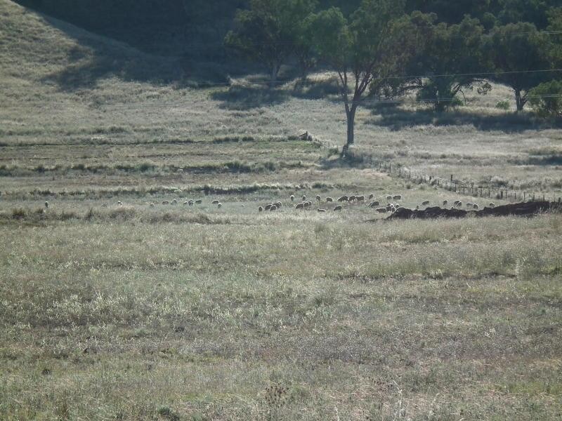 397 Crow Mountain Road, Manilla NSW 2346