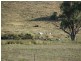 397 Crow Mountain Road, Manilla NSW 2346