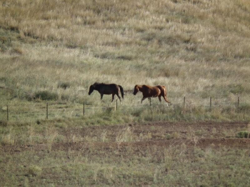 397 Crow Mountain Road, Manilla NSW 2346