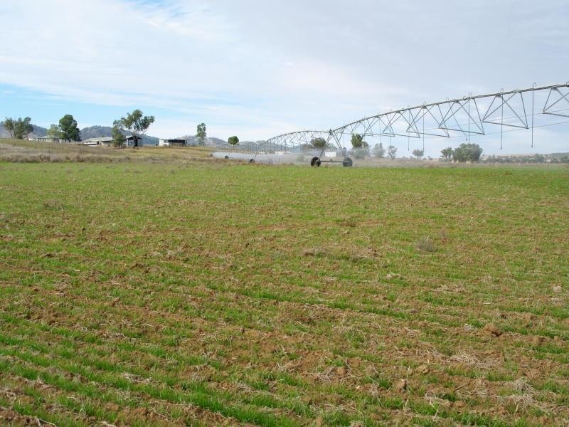 1 Buena Vista Road, Upper Manilla NSW 2346