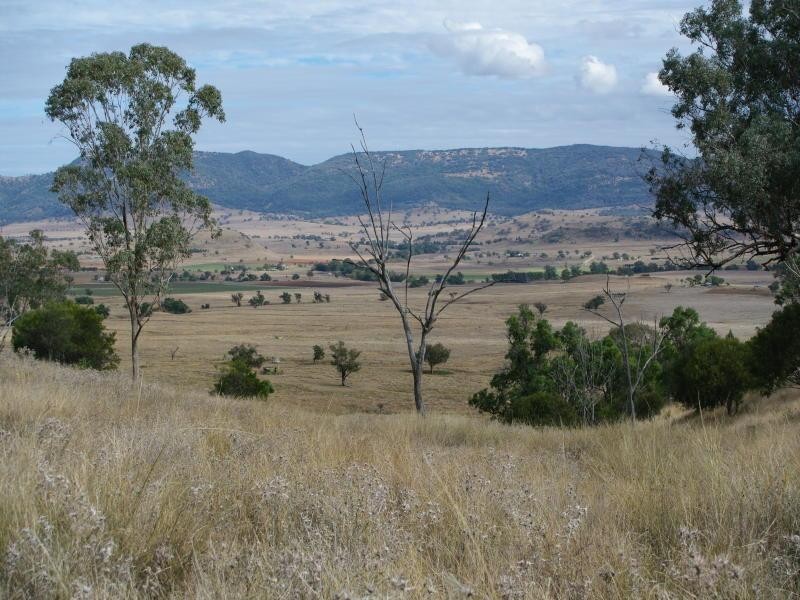 1 Buena Vista Road, Upper Manilla NSW 2346