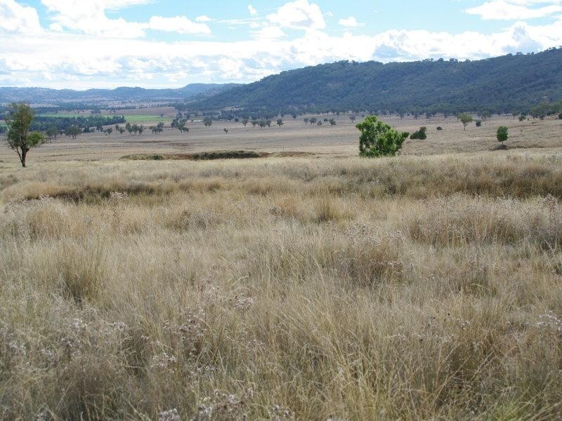 1 Buena Vista Road, Upper Manilla NSW 2346