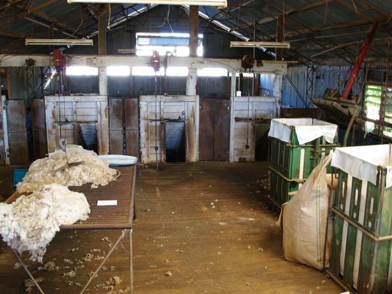 267 Bennetts Road, Attunga NSW 2345