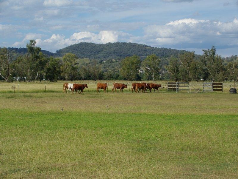 24 Harrier Parade, Calala NSW 2340