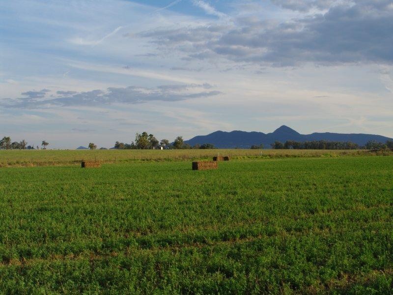 248 Bithramere Lane, Tamworth NSW 2340