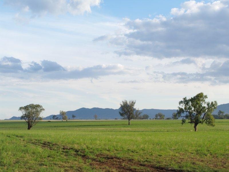 248 Bithramere Lane, Tamworth NSW 2340