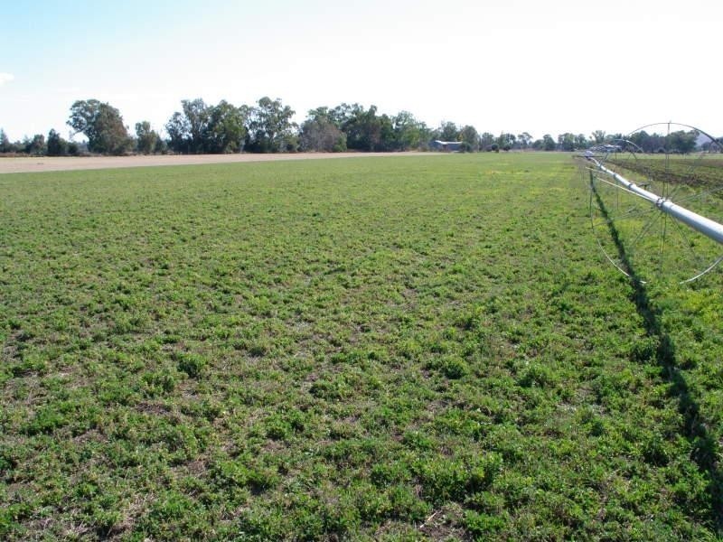 5-7 King George Avenue, Tamworth NSW 2340